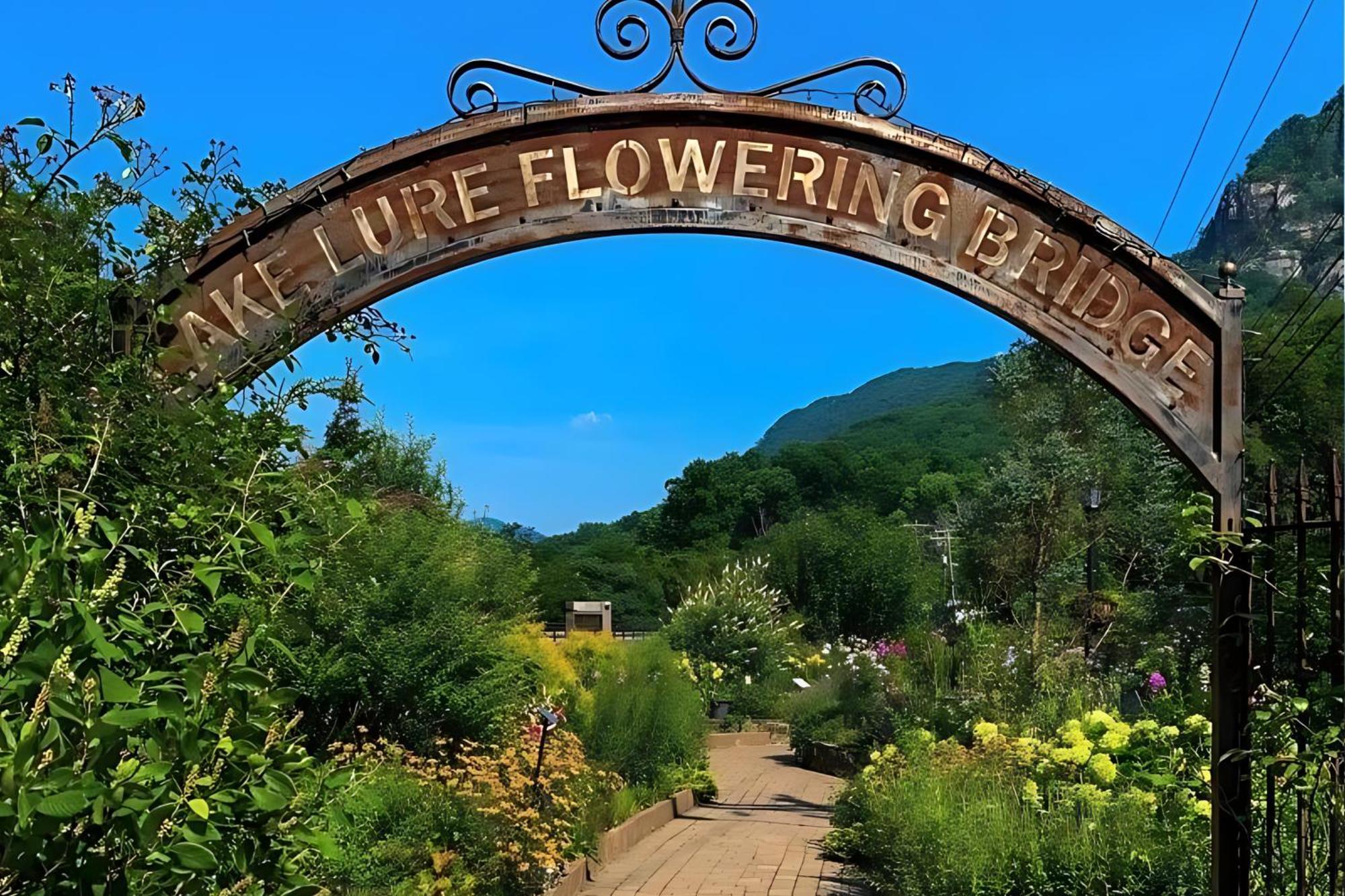 Mill SpringDreaming Tree Of Lake Lure别墅 外观 照片